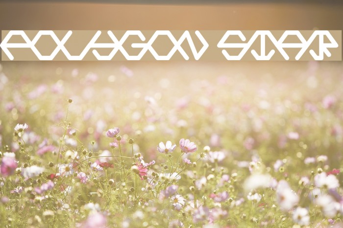 POLYGON STAR Example 3