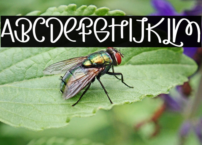 POPCORNRegular Example 3