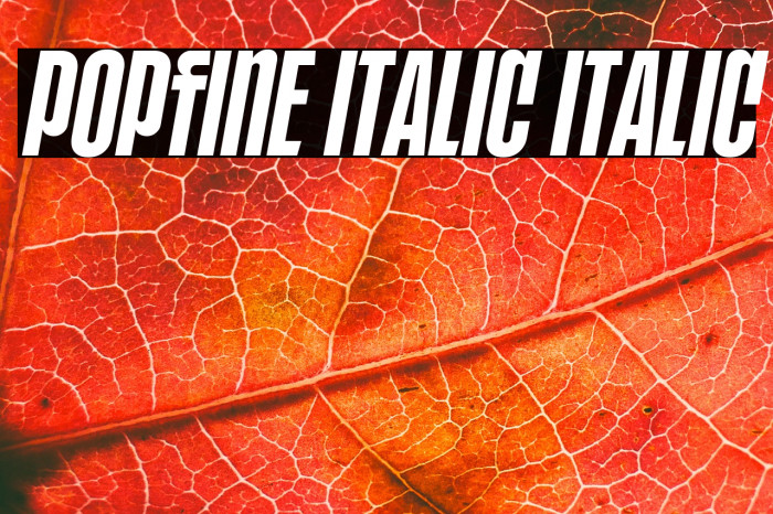 POPFINE Italic Italic Example 2