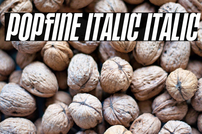 POPFINE Italic Italic Example 3
