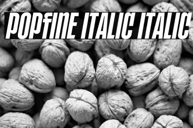 POPFINE Italic Italic Font examples