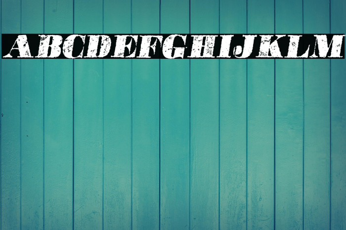 POSTERS ITALIC PERSONAL USE Bold Italic Example 1