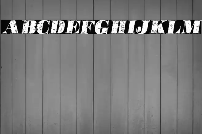 POSTERS ITALIC PERSONAL USE Bold Italic Font examples