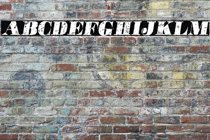 POSTERS ITALIC PERSONAL USE Bold Italic Example 3