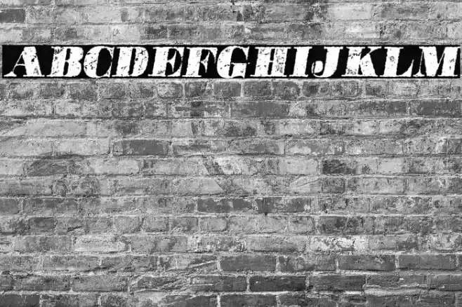 POSTERS ITALIC PERSONAL USE Bold Italic Font examples