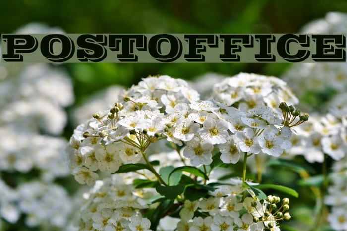 POSTOFFICE Font examples
