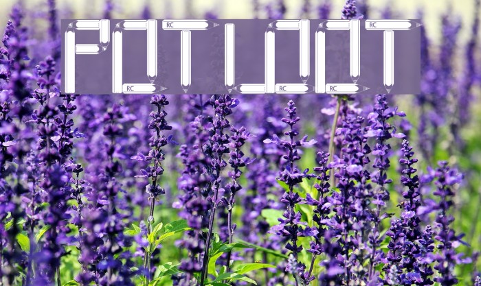 POTLOOT Font examples