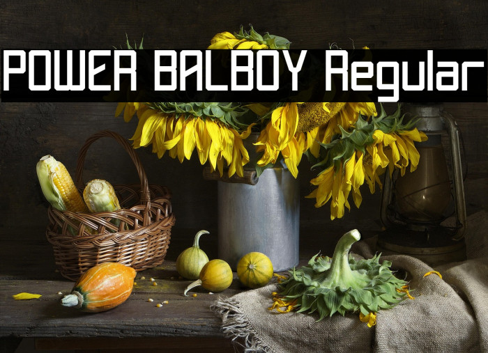 POWER BALBOY Regular Example 1