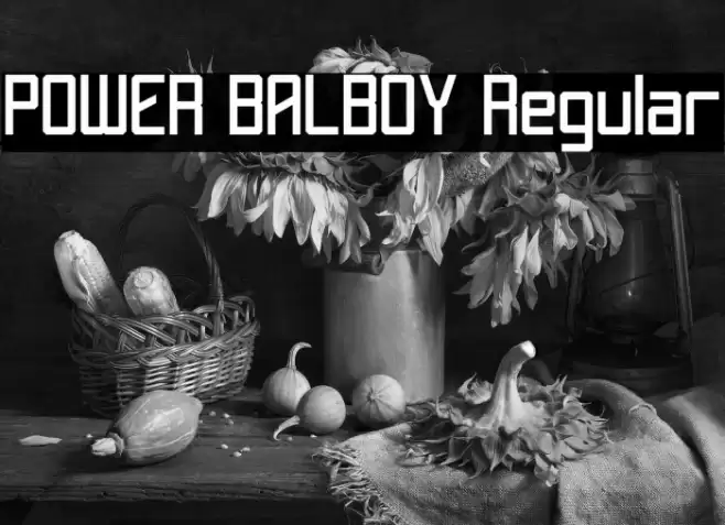 POWER BALBOY Regular Caratteri examples