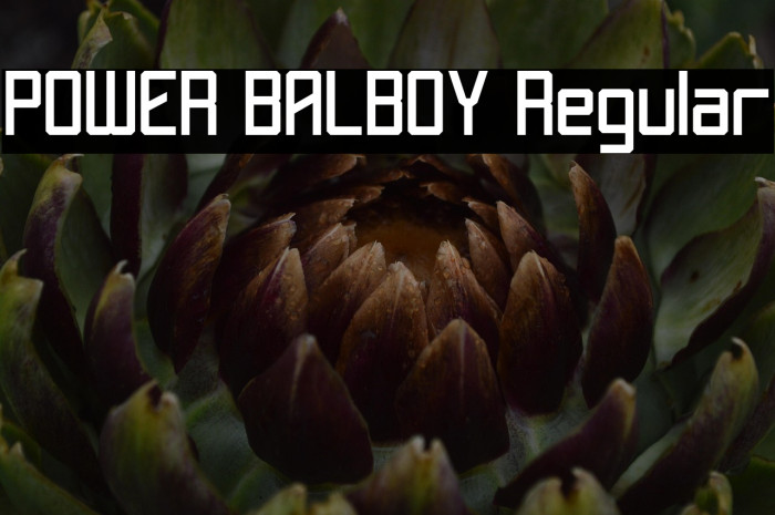 POWER BALBOY Regular Caratteri examples