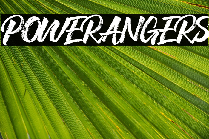 POWERANGERS Example 1