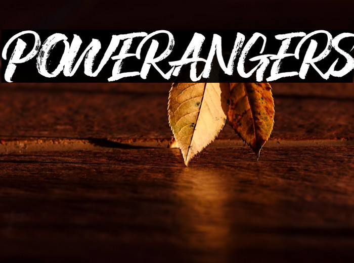 POWERANGERS Example 2