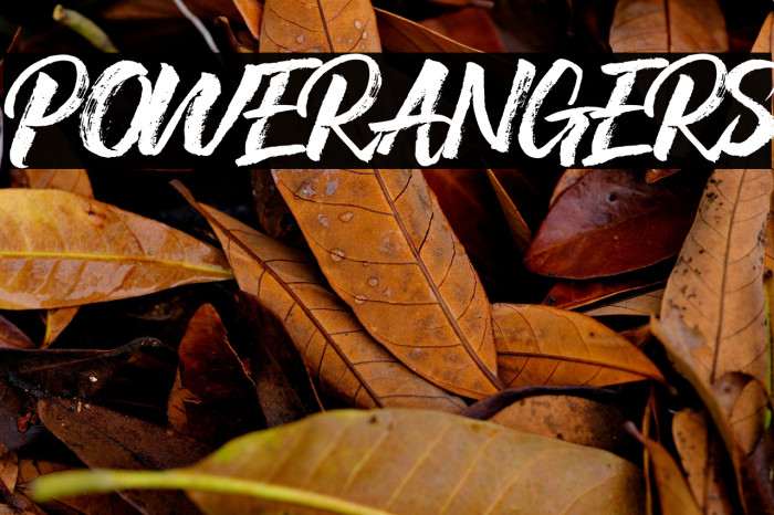 POWERANGERS Example 3