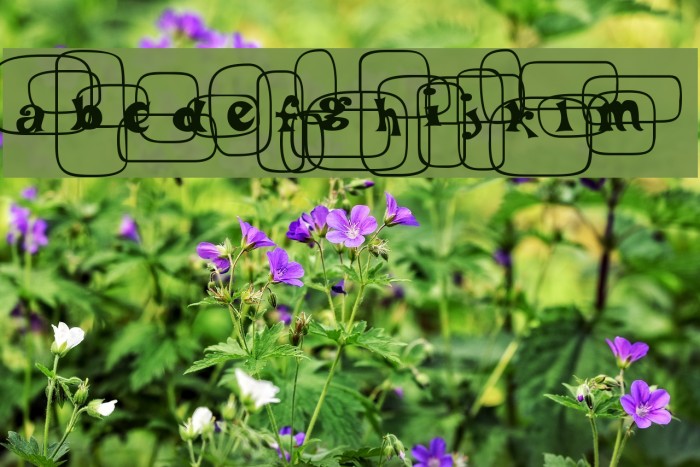 PoBeef-Regular Example 1