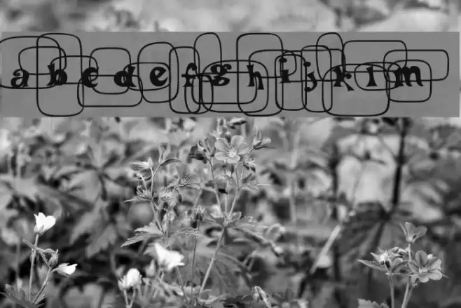 PoBeef-Regular Font examples