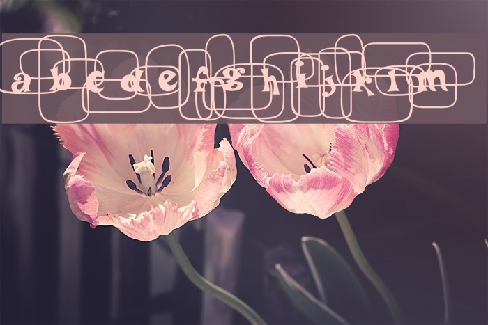 PoBeef-Regular Example 2