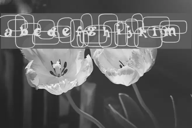 PoBeef-Regular Font examples