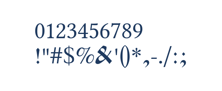 Pochaevsk Regular Other Characters