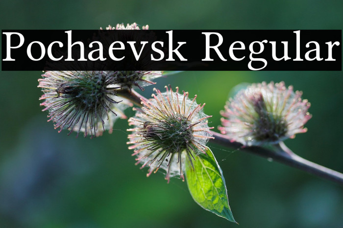 Pochaevsk Regular Example 2