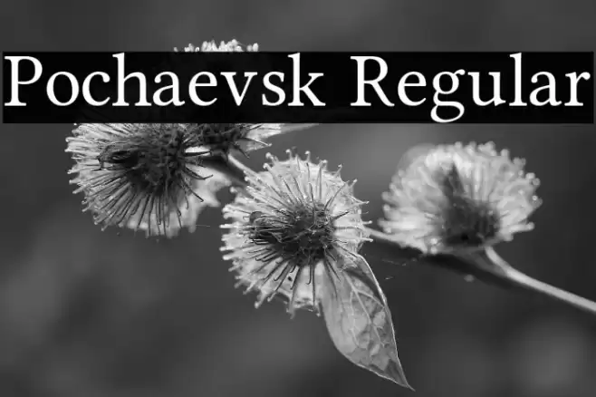 Pochaevsk Regular Schriftart examples