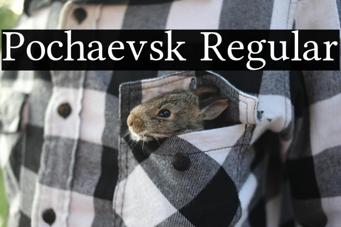 Pochaevsk Regular Example 3