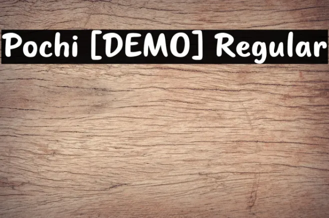 Pochi [DEMO] Regular Example 1