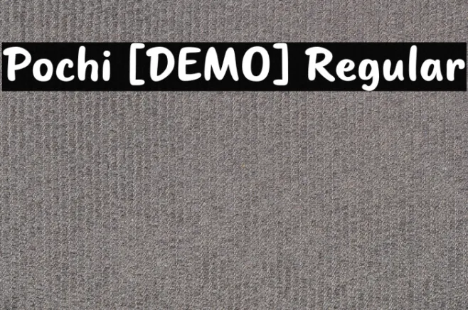 Pochi [DEMO] Regular Example 2