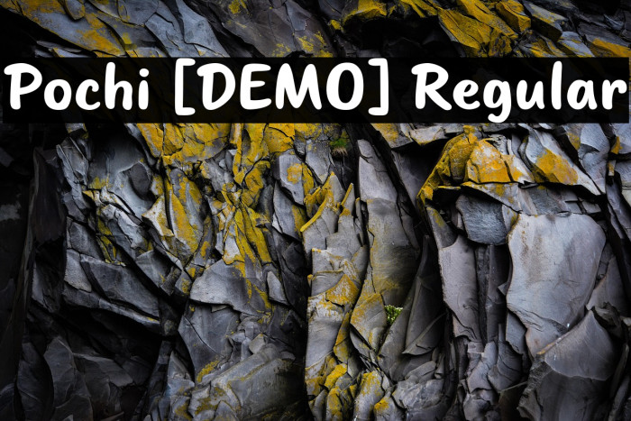 Pochi [DEMO] Regular Example 3