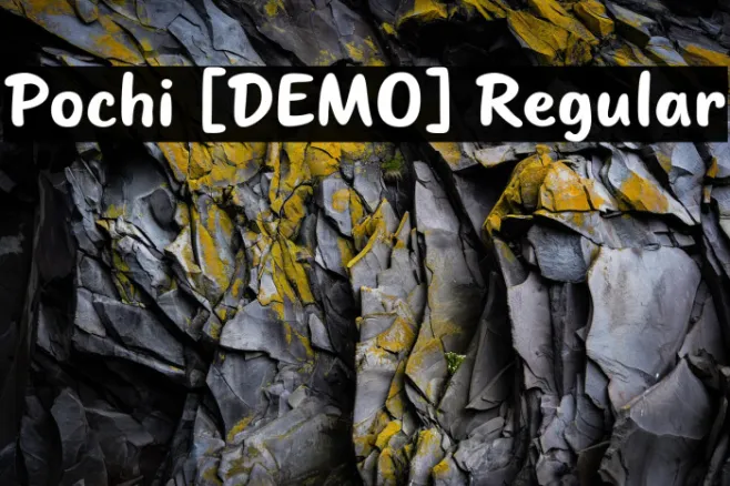Pochi [DEMO] Regular Example 3