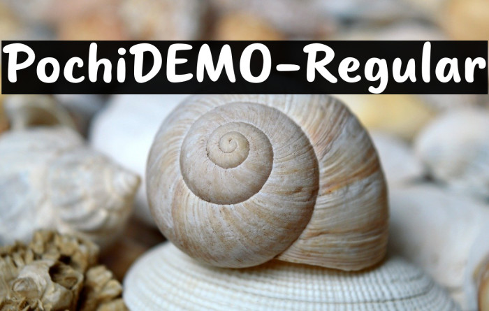 PochiDEMO-Regular Example 1