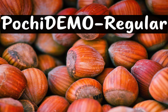 PochiDEMO-Regular Example 2