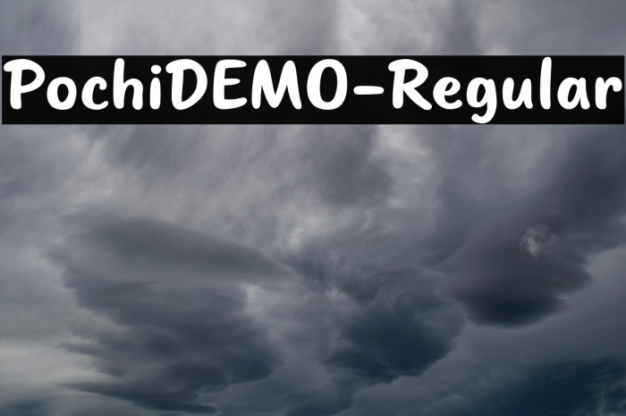 PochiDEMO-Regular Example 3