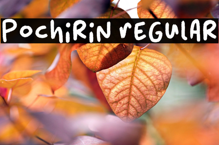 Pochirin Regular Example 1