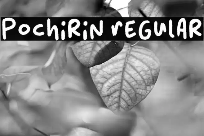 Pochirin Regular Font examples