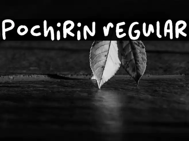 Pochirin Regular Font examples