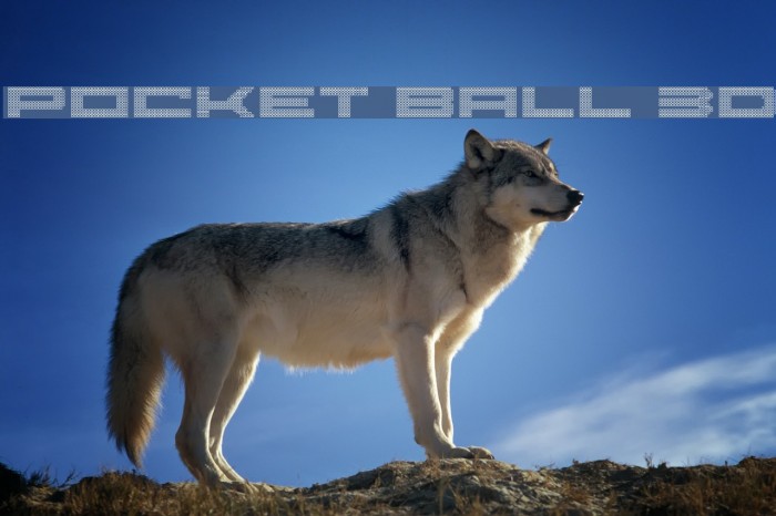 Pocket Ball 3D Font examples