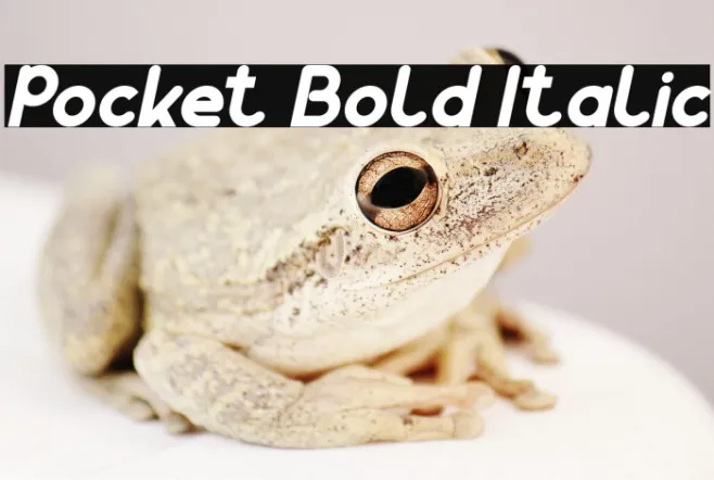 Pocket Bold Italic Example 2