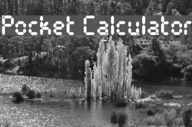 Pocket Calculator Polices examples