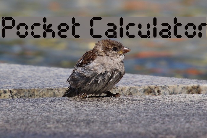 Pocket Calculator Font examples