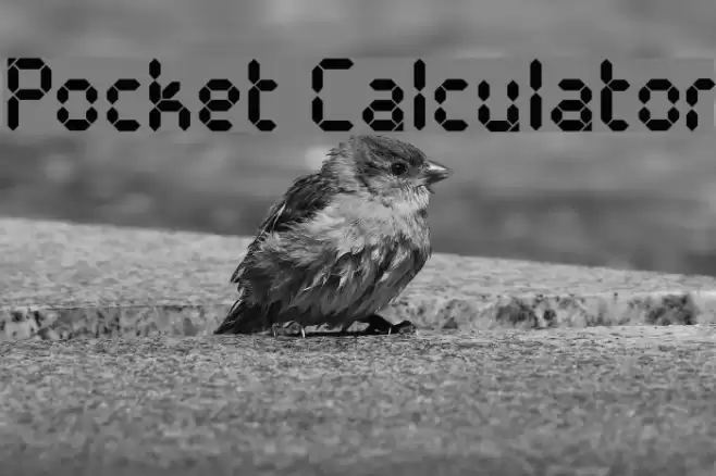 Pocket Calculator Polices examples
