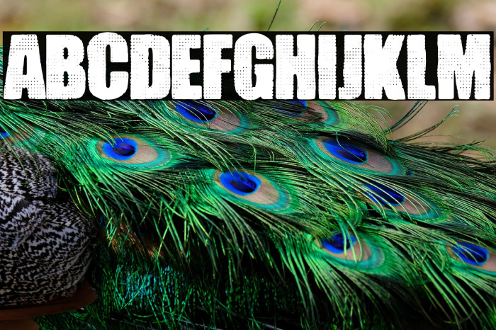 Pocket Change Example 2