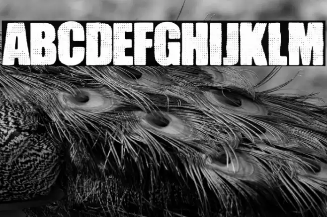 Pocket Change Font examples