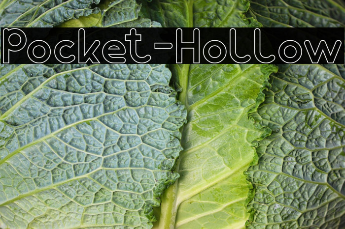 Pocket-Hollow Example 1