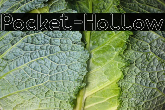 Pocket-Hollow Example 1