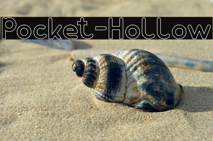 Pocket-Hollow Example 3