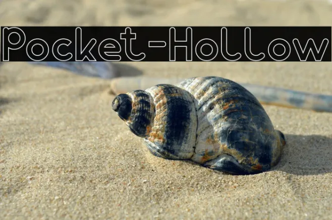 Pocket-Hollow Example 3