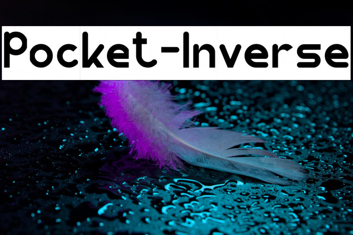 Pocket-Inverse Example 1