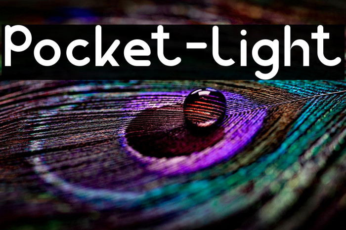 Pocket-Light Example 2