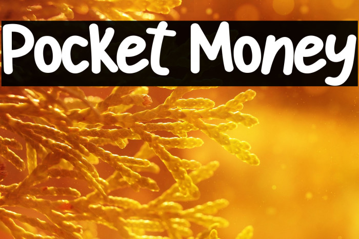 Pocket Money Example 1