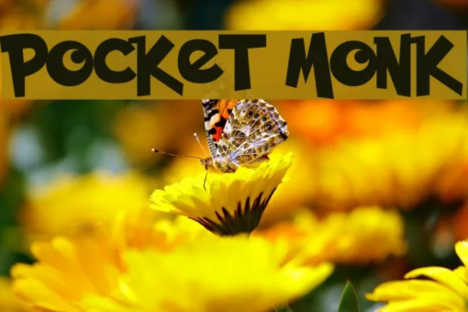 Pocket Monk Example 1